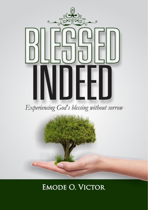 Blessed Indeed E-book